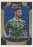 Terrace - Shane Long #/299