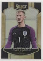 Terrace - Joe Hart