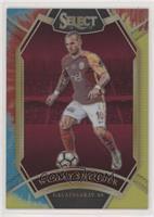 Field Level - Wesley Sneijder #/30