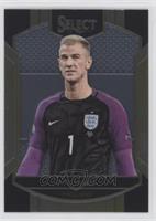 Terrace - Joe Hart