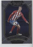 Field Level - Fernando Torres