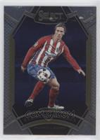 Field Level - Fernando Torres