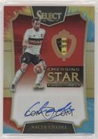 Nacer Chadli #/30