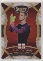 Joe Hart