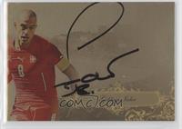 Gokhan Inler #/35