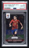 Cesc Fabregas [PSA 10 GEM MT]