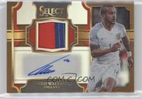 Theo Walcott #/49