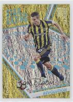 Robin van Persie #/49