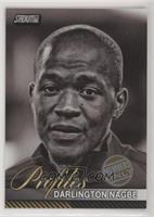 Darlington Nagbe #/25