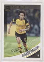 Axel Witsel