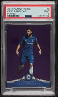 Cesc Fabregas [PSA 9 MINT] #/49