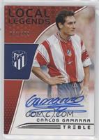 Carlos Gamarra #/199