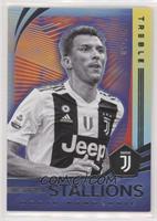 Mario Mandzukic #/150