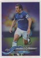 Leighton Baines #/250