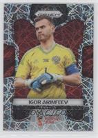 Igor Akinfeev