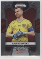 Igor Akinfeev