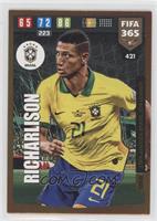 Copa America Brasil 2019 Winner - Richarlison