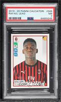 Rafael Leao [PSA 7 NM]