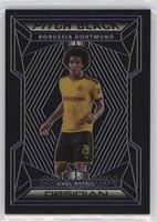 Axel Witsel #/65