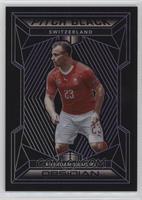 Xherdan Shaqiri #/65