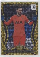 Hugo Lloris