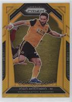 Joao Moutinho #/10