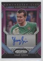 Shay Given #/15