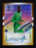 Edouard Mendy #/50