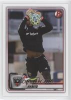 Bill Hamid