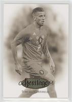 Toby Alderweireld #/39