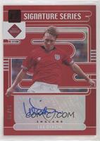 Lee Dixon #/49