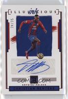 Christian Benteke #/35