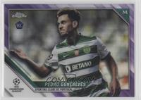 Pedro Gonçalves #/250