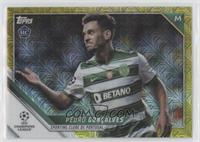 Pedro Gonçalves #/150