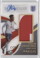 Callum Hudson-Odoi #/17