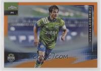 Nicolas Lodeiro #/25