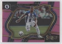 Field Level - Moises Caicedo [EX to NM] #/99