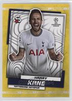 Harry Kane [EX to NM]