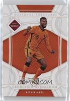 Georginio Wijnaldum #/99