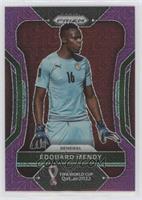 Edouard Mendy #/49