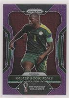 Kalidou Koulibaly #/49