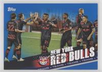 New York Red Bulls #/99