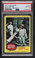 Luke and the Princess... Trapped! [PSA 8 NM‑MT]