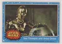 See-Threepio and Artoo-Detoo