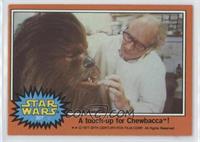 A Touch-Up for Chewbacca