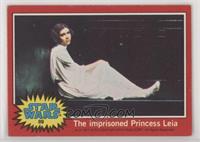 The Imprisioned Princess Leia