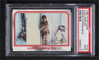 Luke Arrives [PSA 9 MINT]