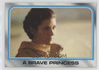 A Brave Princess