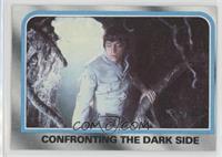 Confronting the Dark Side