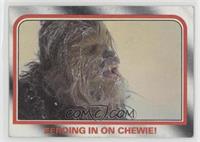 Zeroing in on Chewie!